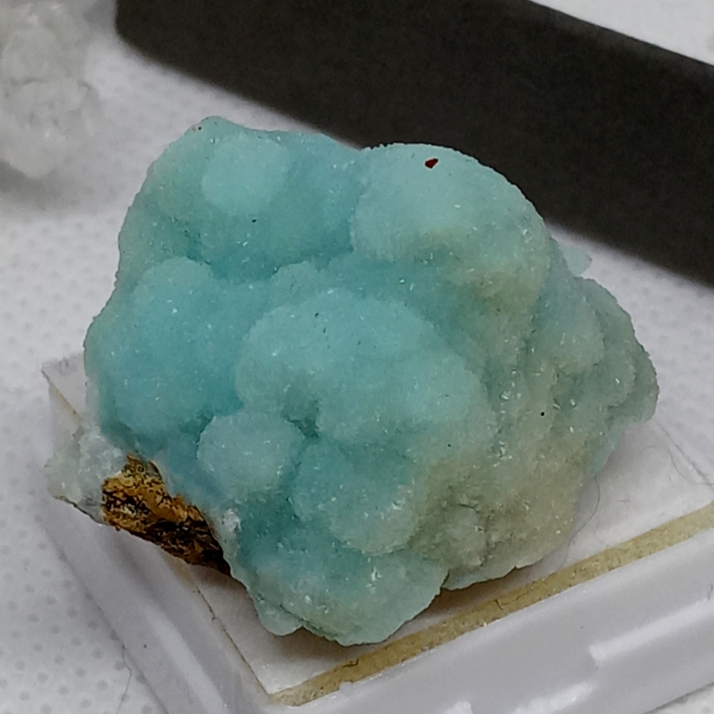 Hermorphite specimen